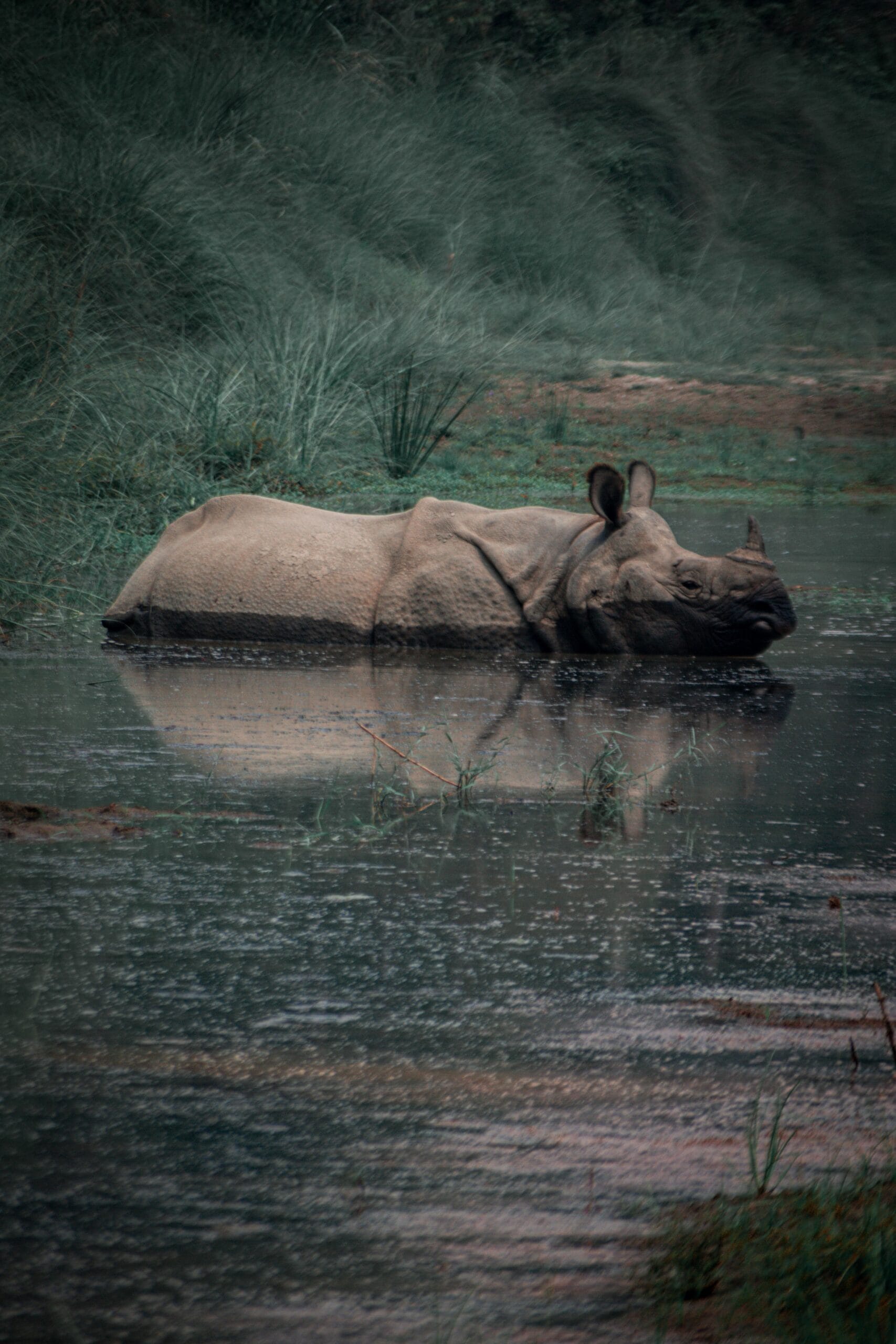 Sri Lanka